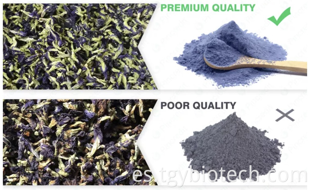 Butterfly Pea Flower Powder